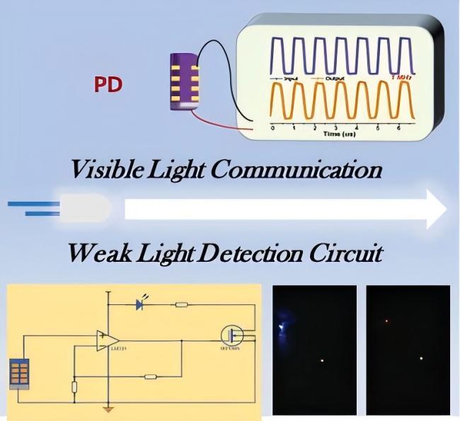 Amplified Photodetectors in Weak Light Signals detection